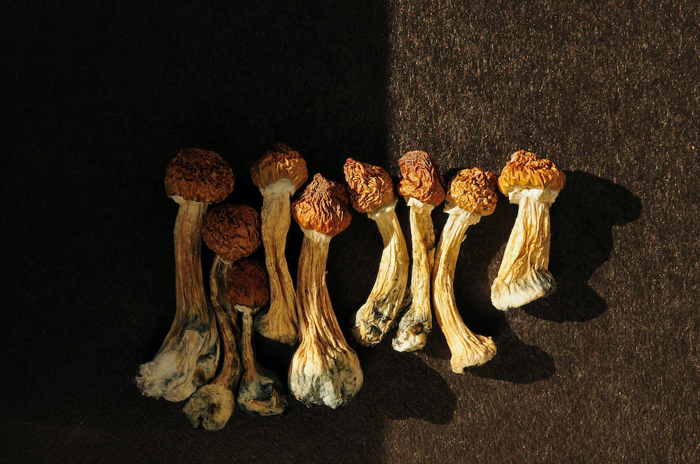 Psychedelic Therapist Training