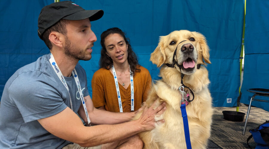 Pet and Setting: This Psychedelic Vet Teaches Dogs to Trip Sit