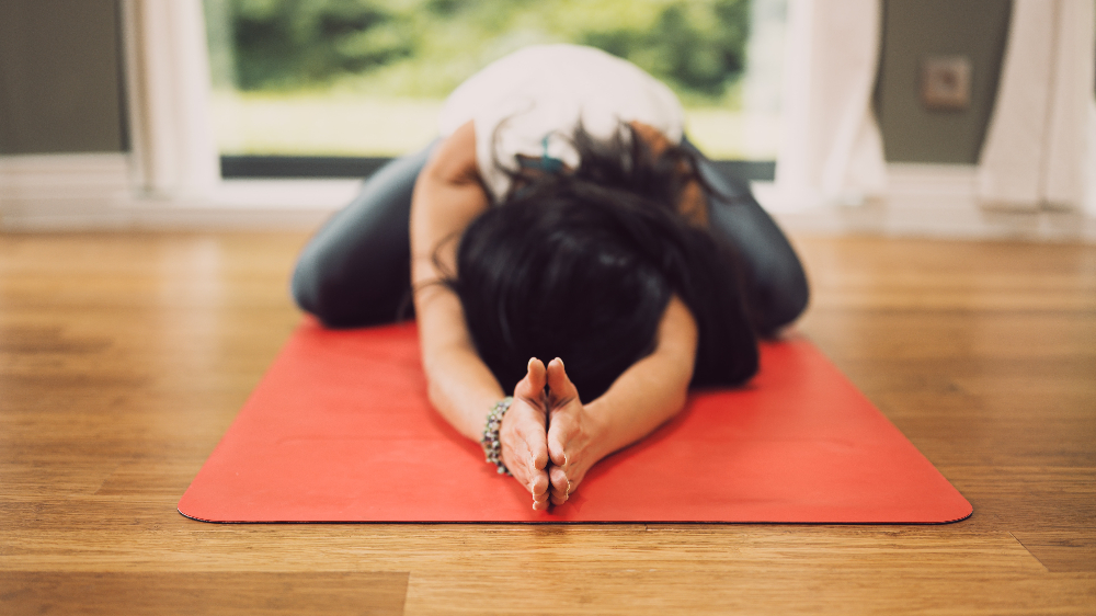 somatic therapy and psychedelics