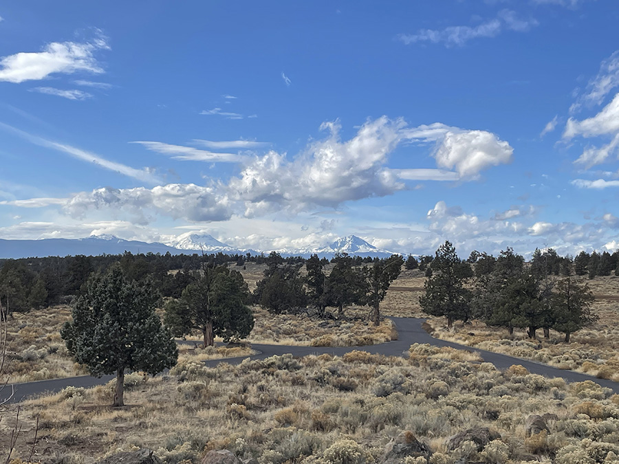 Odyssey Psilocybin Retreats in Oregon.