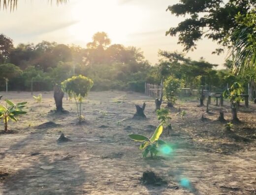 Sacred Rebels in Iquitos, Peru