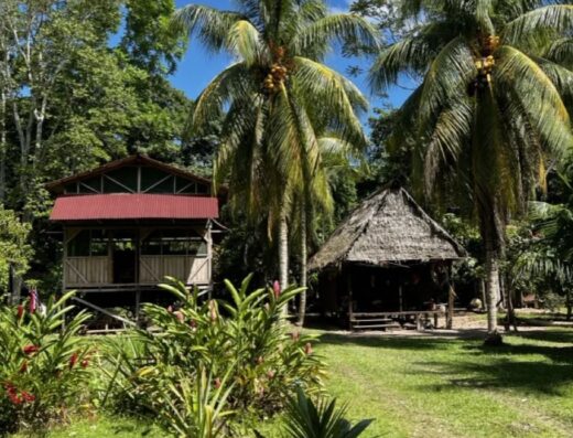 APL Journeys Peru in Pucallpa, Peru