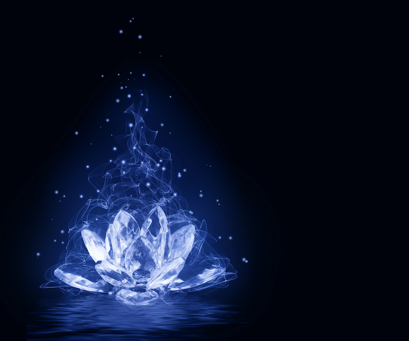 Smoking Blue Lotus Flower