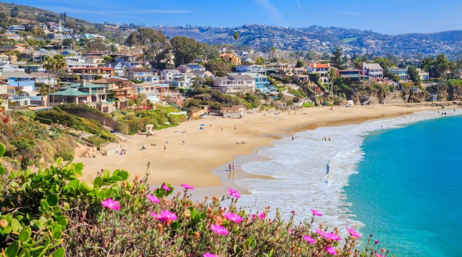 California Bill Aims to Clear Logjam for Psychedelic Treatment Research