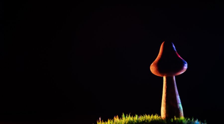 Federal Health Agency Recognizes Psilocybin’s Therapeutic Potential For First Time