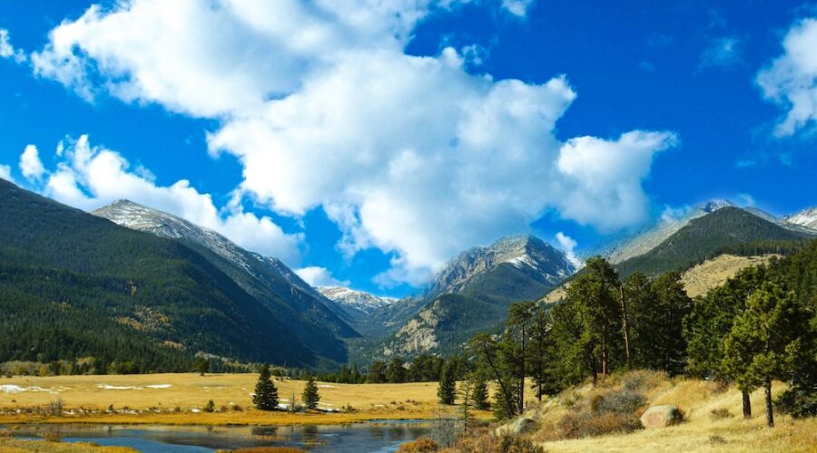 Psychedelic Therapy Is Now Legal in Colorado Amid Political Divide