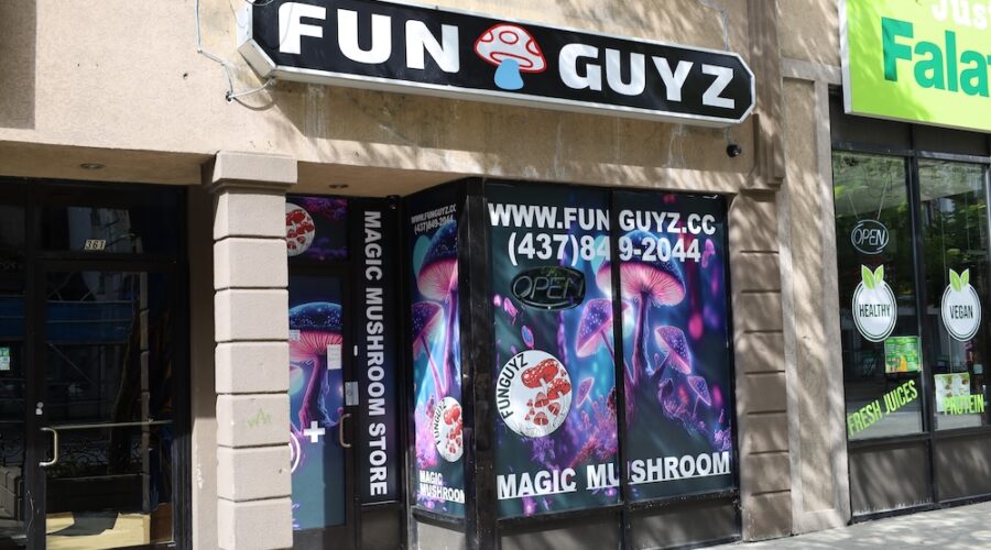 Study: More Than a Third of Canadian Cities Have (Illegal) Magic Mushroom Dispensaries