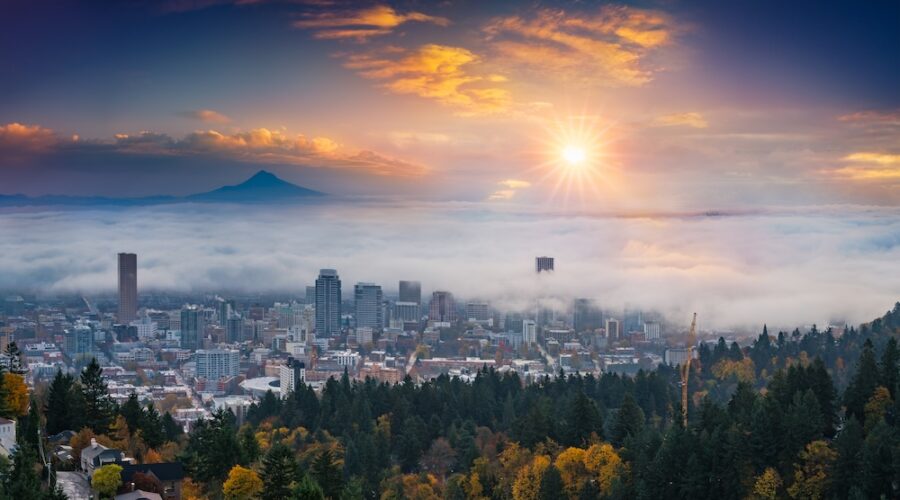 Oregon Study Finds Some Magic Mushroom Edibles Contain Zero Psilocybin