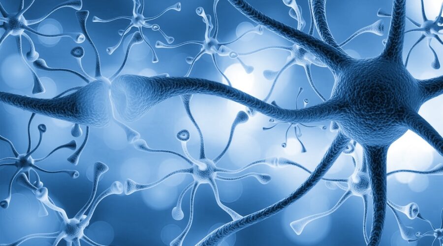 Psychedelics Affect Far More Brain Cells Than Scientists Believed