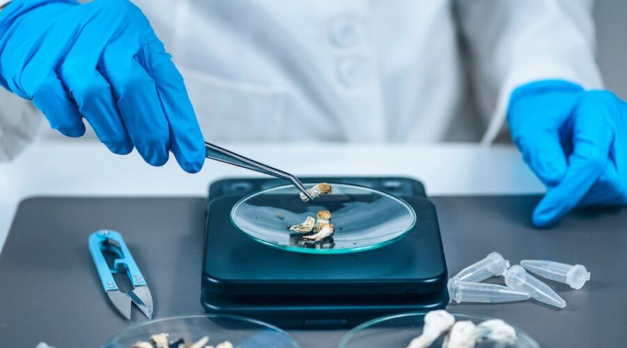 Arizona Launches First Trial Using Whole Psilocybin Mushrooms for PTSD Treatment