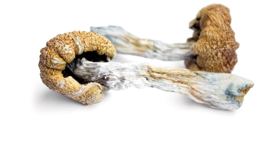 Psilocybin Shows Promise for OCD in New Research