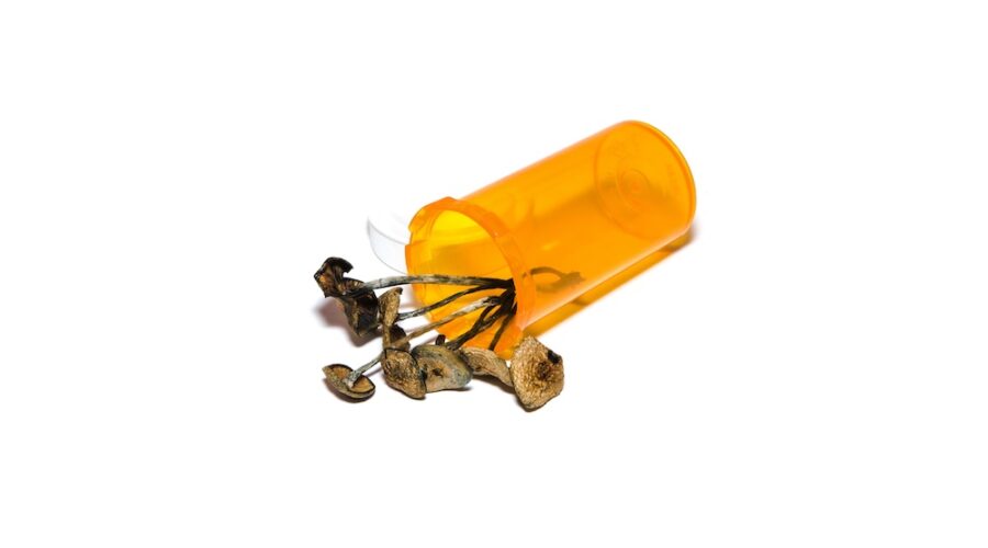 The Countdown to Approval: The Psychedelic Clinical Trials That Could Reshape Mental Healthcare