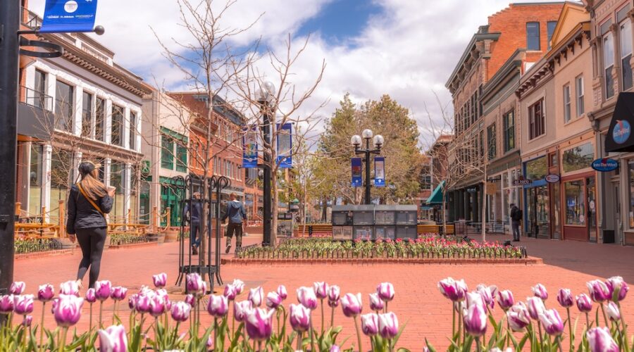 Boulder Becomes Hub for Colorado’s First Three Psilocybin Healing Centers