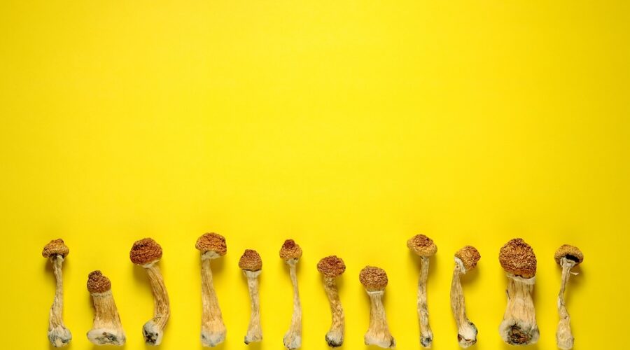 Low Dose Psilocybin Shows Metabolic Benefits Without the Trip