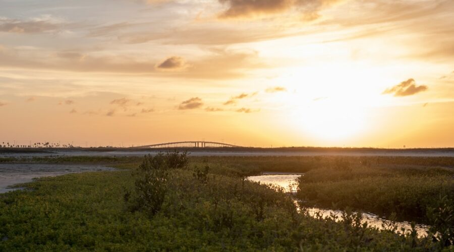 3 Best Ketamine Clinics in Corpus Christi (2026) — Verified & Reviewed
