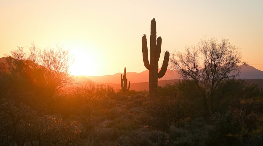 The 11 Best Peptide Clinics in Phoenix (2026) — Verified & Reviewed