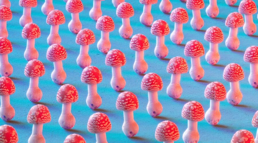Michigan Rep. Jack Bergman Says Psychedelic Treatment Research Has Reached a New Moment