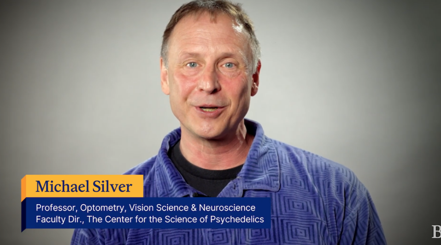 Watch a Berkeley Neuroscientist Describe Your Brain on Psychedelics in 101 Seconds