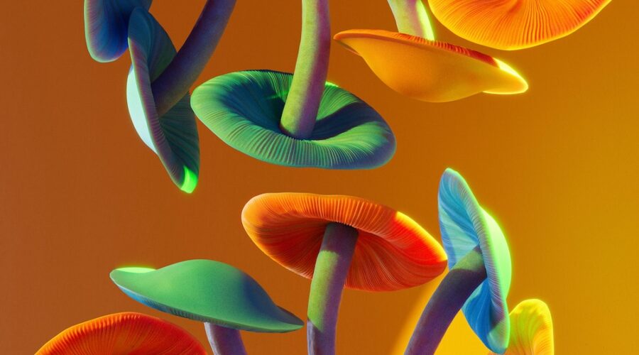 Psychedelic Trials Are Showing Big Results. The Methods Behind Them Are Getting a Closer Look