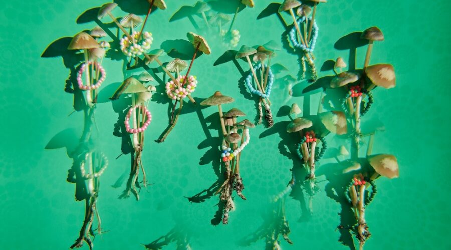 Woman with Alzheimer’s hadn’t spoken in 5 years. Then she took a dose of psilocybin and everything changed