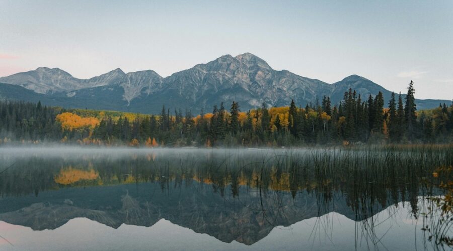 The 5 Best Peptide Clinics in Montana (2026) — Verified & Reviewed