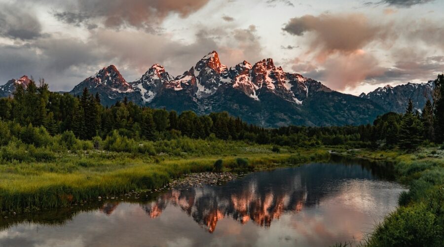 The 6 Best Peptide Clinics in Wyoming (2026) — Verified & Reviewed