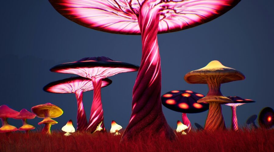 Oregon Dropped Its Psilocybin Fee Hike After Licensees Said They Would Walk