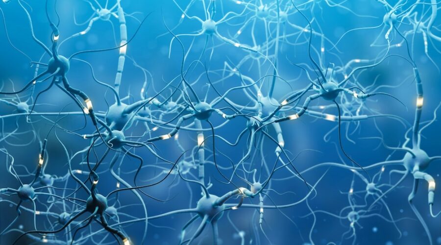 The Case That Psychedelics Sometimes Make Thinking Less Flexible
